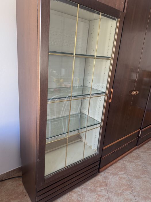 Frigider tip vitrina