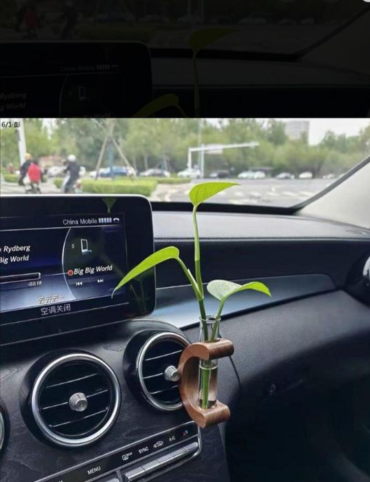 Avto aksessuar gul qo'yish uchun estetik zavq bag'ishlaydi