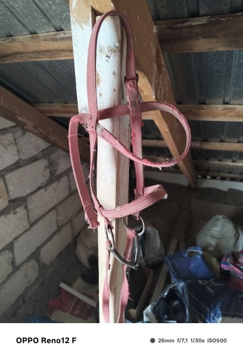 Ертокым жылуына .