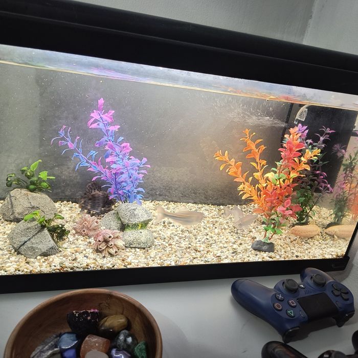 Acvariu complet 60 l