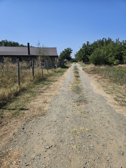 Teren intravilan la 25 km de București.