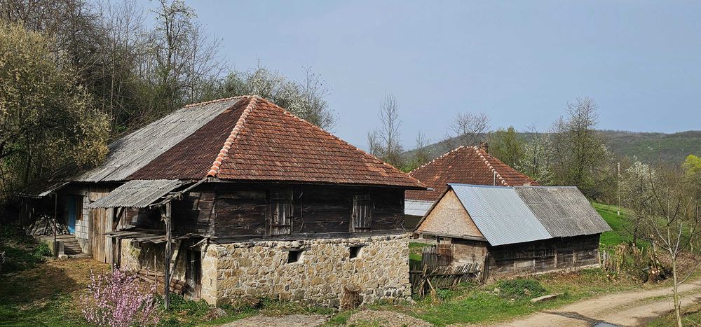 Vand casa cu gradina + padure + teren arabil