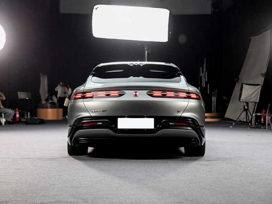 denza z9 gt pod zakaz