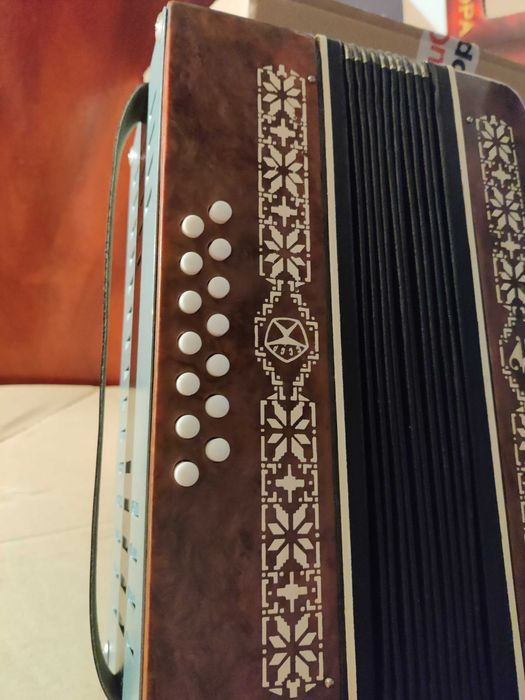 Детски руски акордеон
