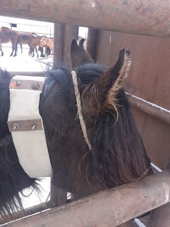 Gps спутниковое 6-7 айлық батарейкасымен