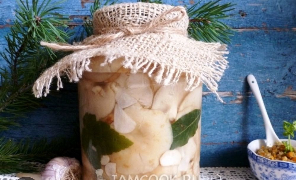 Грибы соленые посол этого года