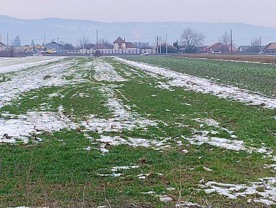 Teren Industrial Osorhei