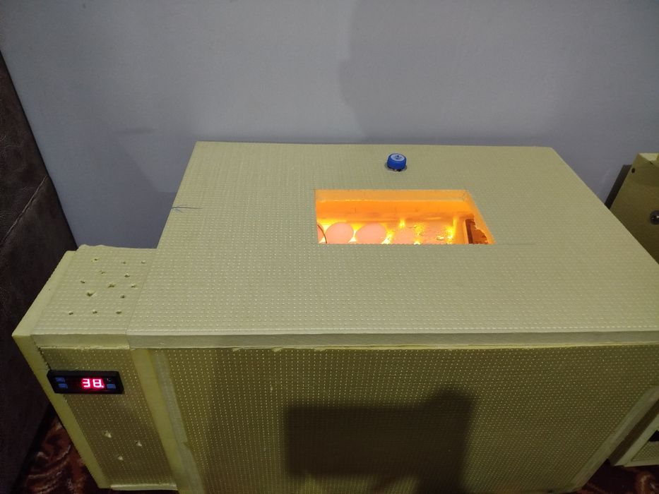 Inkubator sotiladi 68 talik pol avtomat