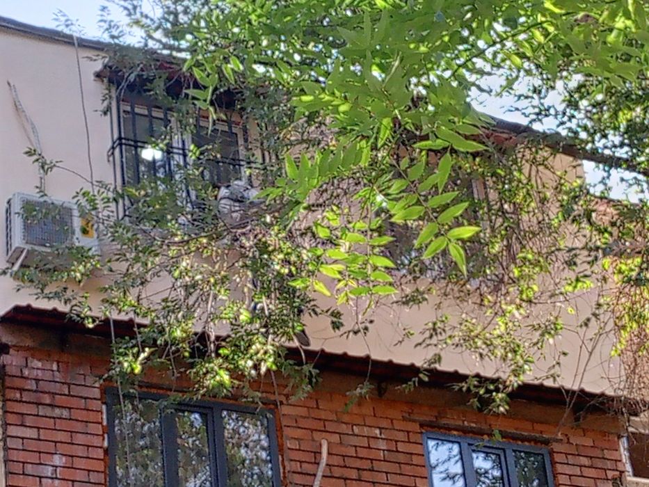 Альпенисты утепляем болконы