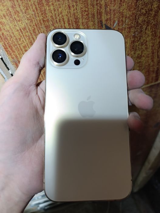 Iphone 13 pro max