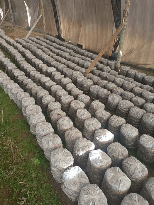 Готовые блоки     .