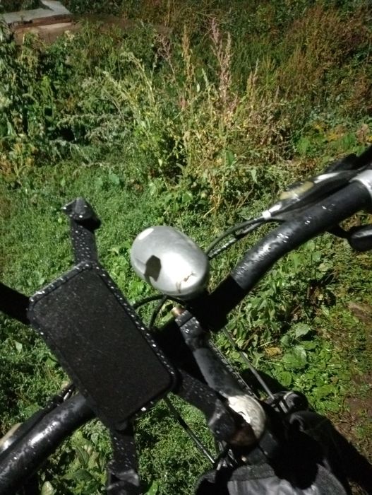 Нурмухамед велос