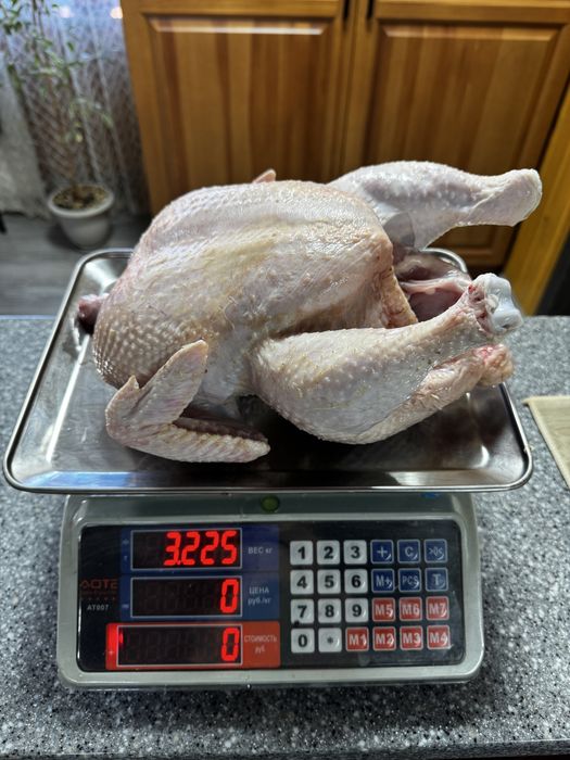 Продам тушки бройлера