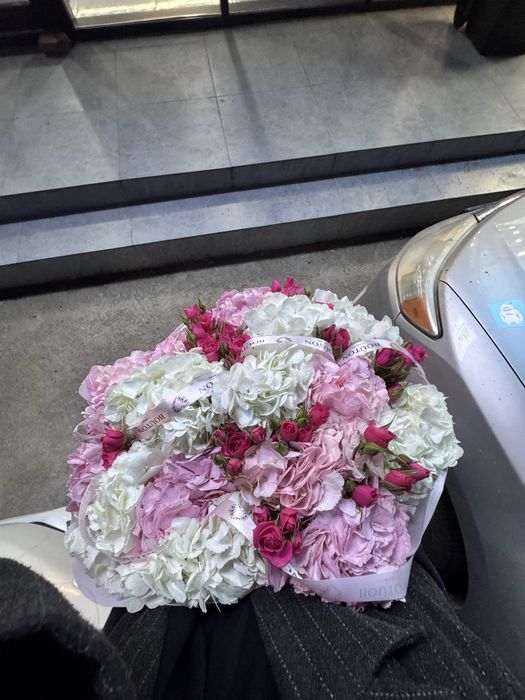 Шикарные свежие гортензии