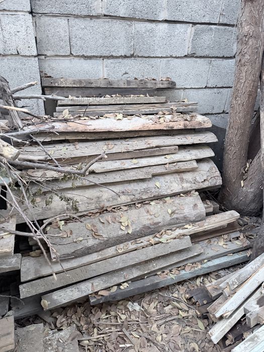 Продам дрова в турксибском районе