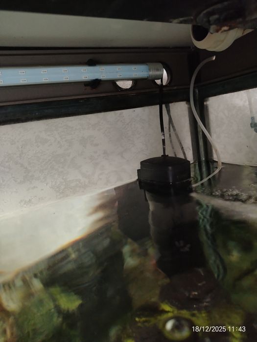 Аквариум ( famous globe )