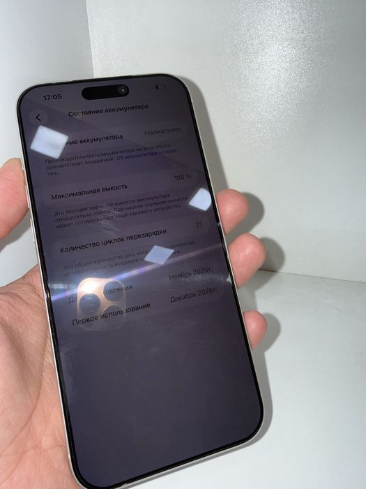 17 pro max 256 silver 13 цикл