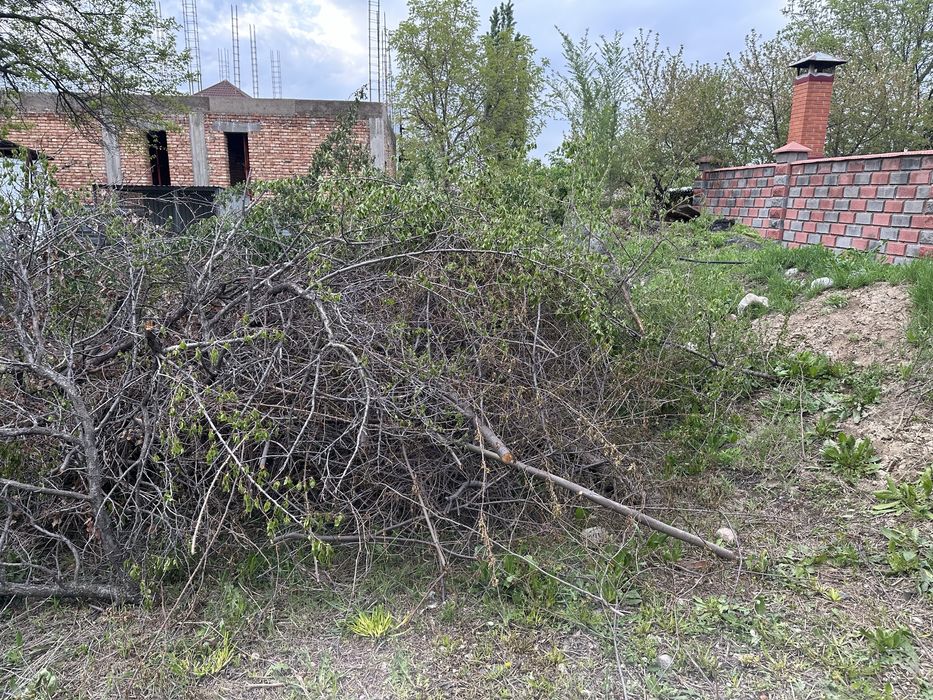 ветки на дрова самовывоз бесплатно