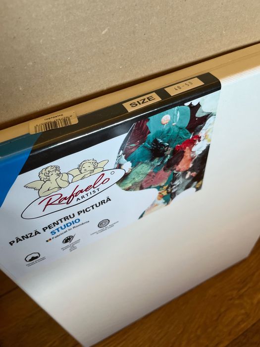 Set pictura: 2x panze, pensule, culori acrylice, suport tablou