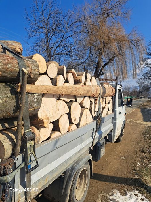 Vând lemne de esență tare FAG