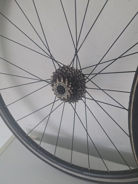 Roti cursiera 28