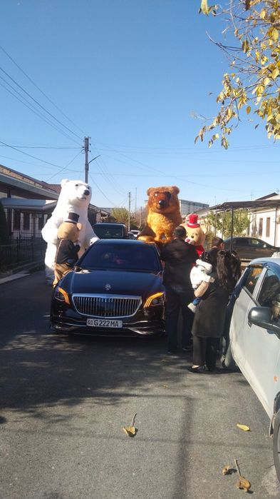 Ayiqlar Sotiladi.