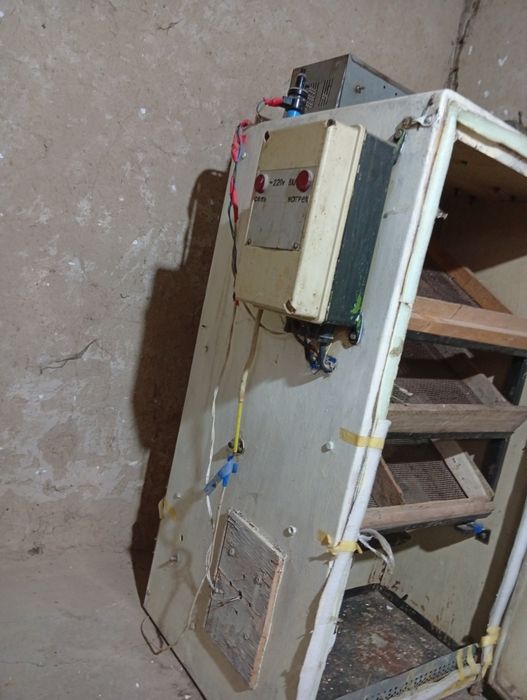 Inkubator sotiladi sastiyanasi yahwi