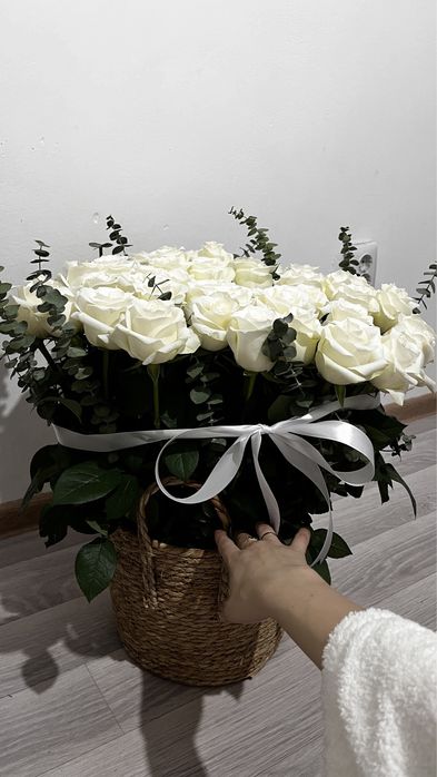 Аппак адеми свежий гүл