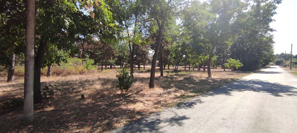 Продава се Парцел в Генерал Тошево - 1700 кв.м за 14 €/кв.м - Снимка #2