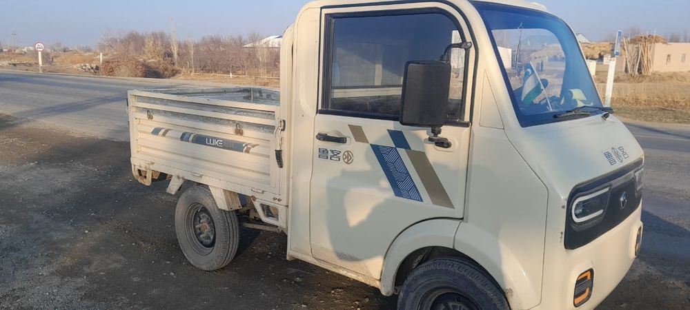 Электроний муравей