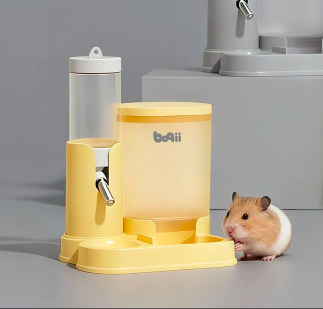 Продам 2 морские свинки(мальчики)