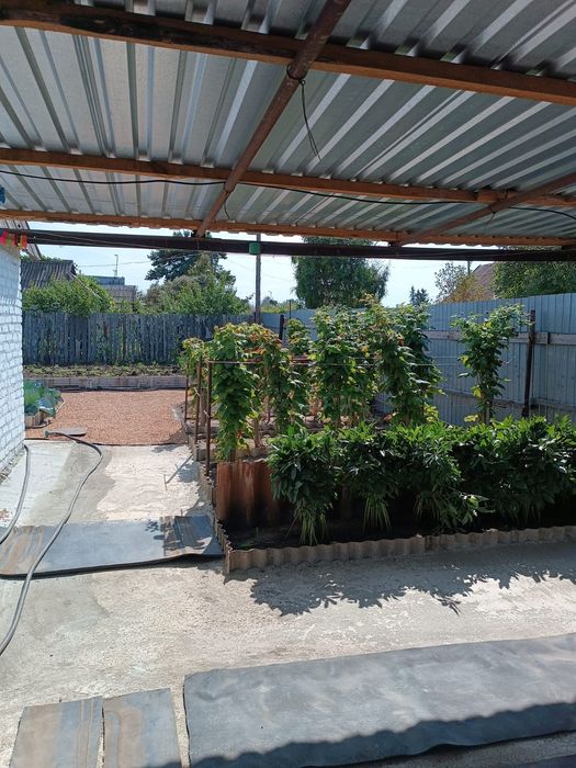 Продам дачу, сады 1, после сбора урожая
