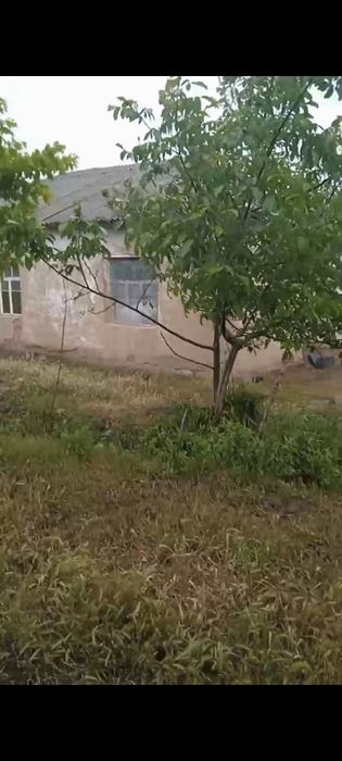 Dalahovli qilish niyatida bôlganlar uchun keng maydonli yer