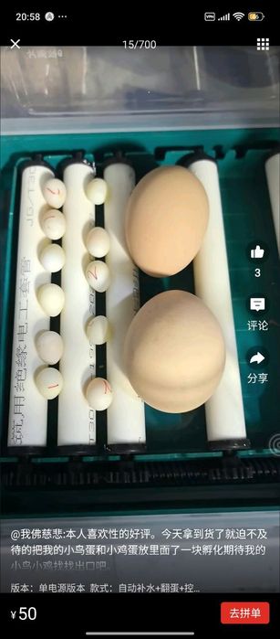 Инкубатор - universal, har xil tuxum ochadigan(to‘liq avtomatik) xitoy