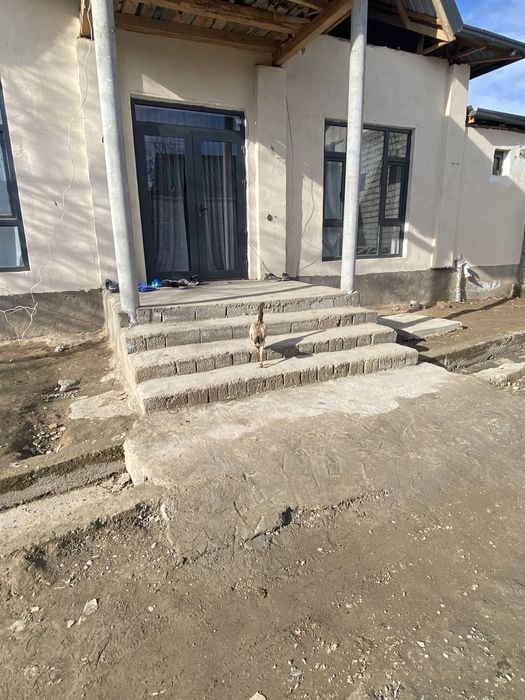 Dakan tovuq zoti saman ciqan 2ta bor boliwi 150mindan