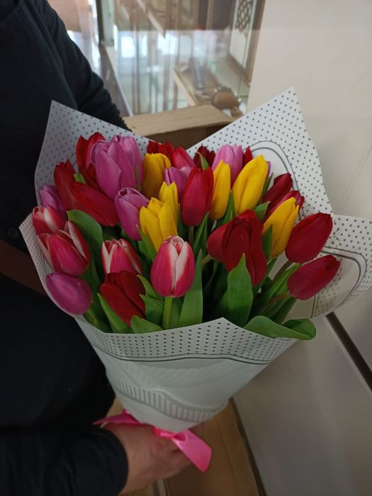 Тюльпаны оптом от 420 тенге