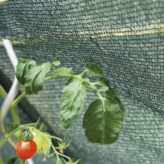 Plasa de Umbrire GeoSol 45% 8m x 30m