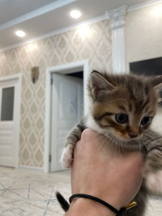 Два мальчика и две девочки