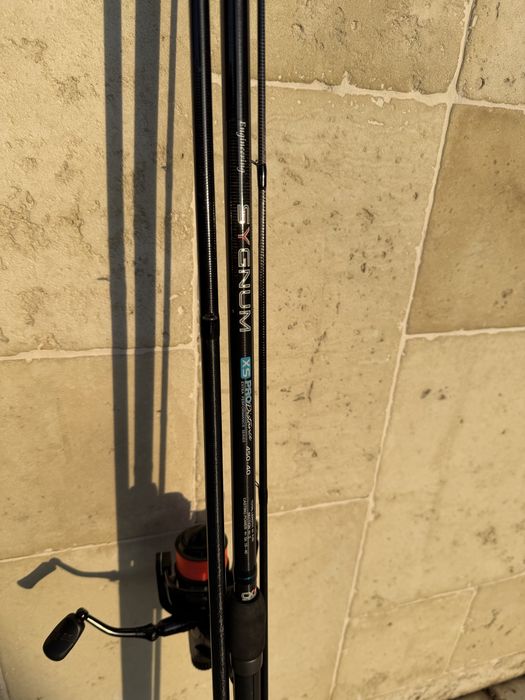 mulineta shakespeare - Sport, timp liber, arta | OLX.ro