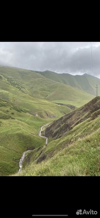 Продам высокогорный мед