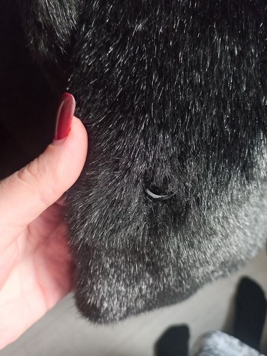 Зимняя Эко - ШуБа