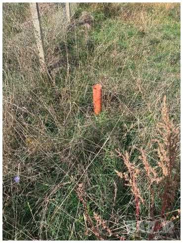 Продава се Парцел в Свети Влас - 400 кв.м за 62 €/кв.м - Снимка #1