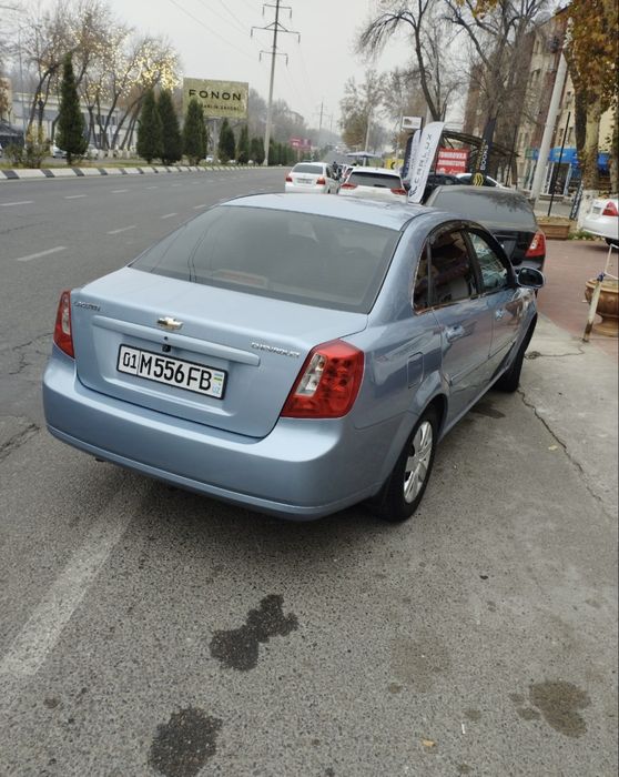 Lasetti 2013 delfin rang