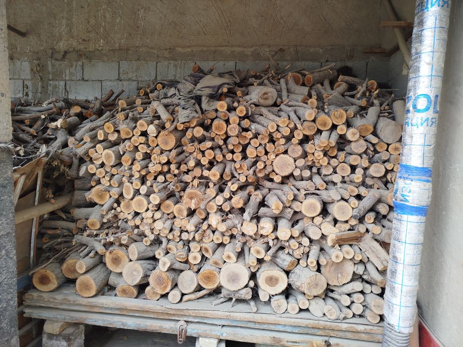 Oʻtin sotiladi oʻrik daraxti maydalangan tayyor