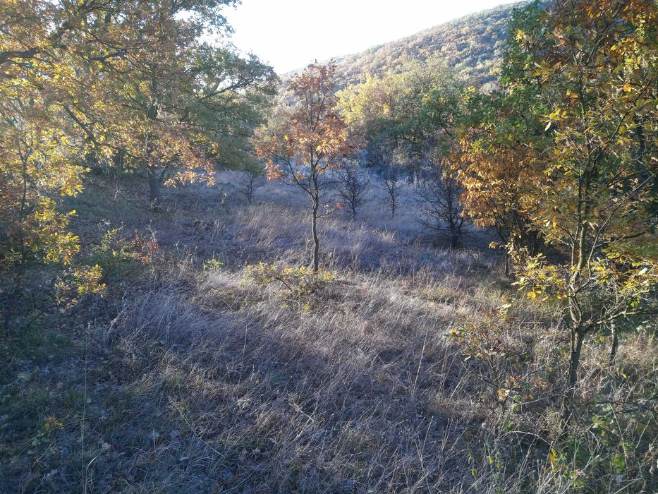 Продава се Парцел в с. Лясково, Област Стара Загора - 2220 кв.м за 10 €/кв.м - Снимка #2