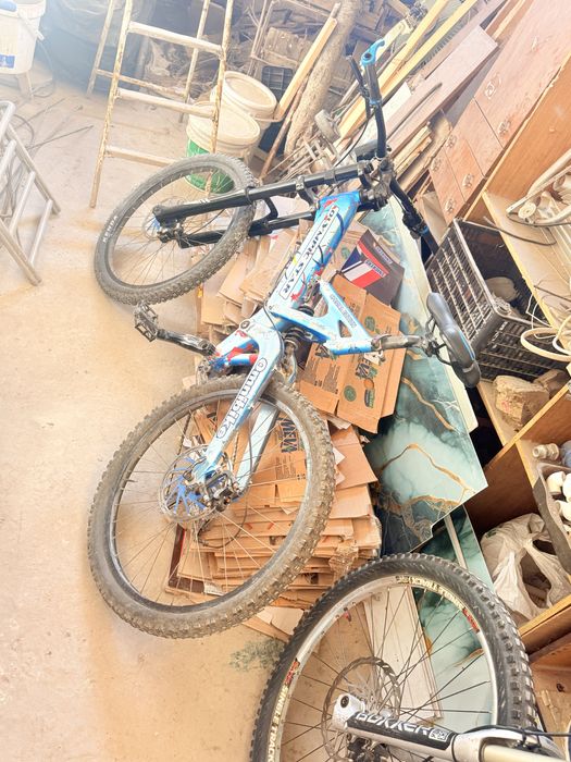 Omnibike двухподвес DH