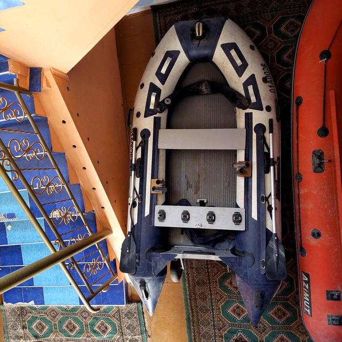 Lotka sotiladi kareski