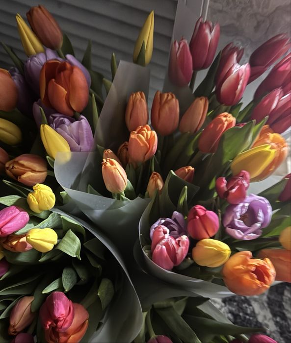 Продажа тюльпанов