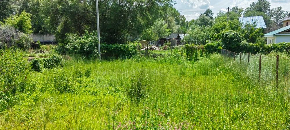 продам дачный участок