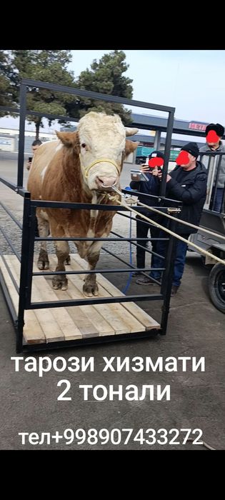 Тарози хизмати самарканд